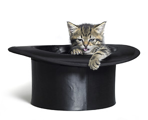 Image showing funny kitten in top hat