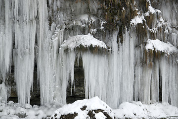 Image showing lots of icicles