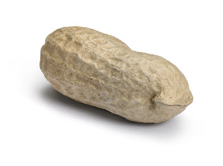 Image showing perfect peanut