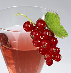 Image showing Redcurrant and glass