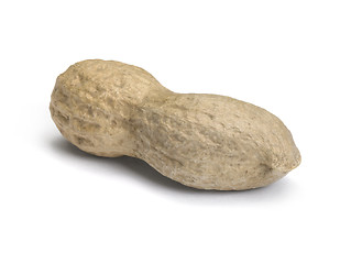 Image showing perfect peanut