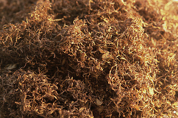 Image showing fine cut tobacco background