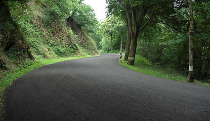 Image showing Ardennes road at summer time