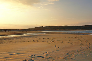 Image showing Crane Beach illuminated by the evening sun