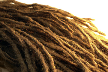 Image showing dreadlocks detail