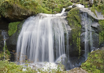 Image showing idyllic Triberg Waterfalls