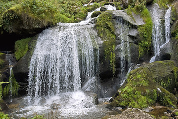 Image showing idyllic Triberg Waterfalls