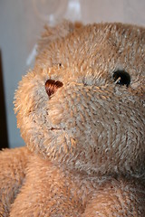 Image showing Teddy