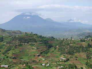 Image showing Virunga Mountains in Uganda