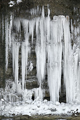 Image showing lots of icicles