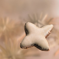 Image showing cinnamon star in light blurry back