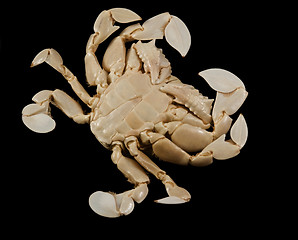 Image showing underside of a moon crab