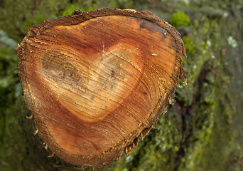 Image showing wooden heart shape