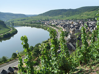 Image showing small city at river Moselle