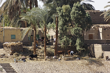 Image showing village detail in Egypt