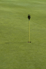 Image showing hole and golf balls in green back
