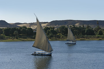 Image showing sailing boats in Egypt
