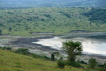 Image showing Chambura Gorge waterside scenery