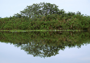 Image showing waterside view of the Lake Victoria near Entebbe