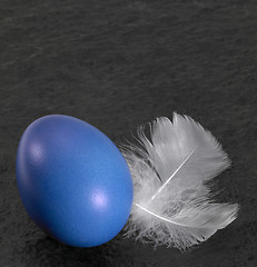 Image showing easter egg and down feathers