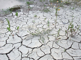 Image showing chapped desert border