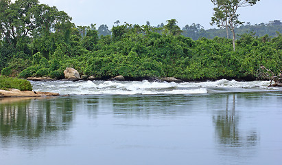 Image showing River Nile scenery near Jinja in Africa