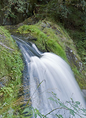 Image showing idyllic Triberg Waterfalls