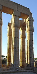 Image showing columns at Luxor Temple in Egypt