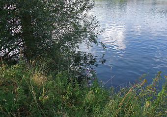 Image showing waterside scenery with vegetation