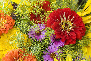 Image showing colorful floral back