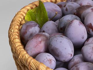 Image showing plums