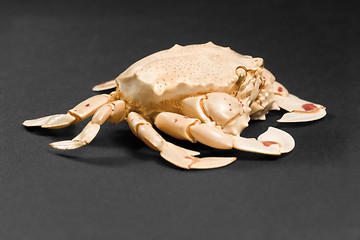 Image showing moon crab in dark back