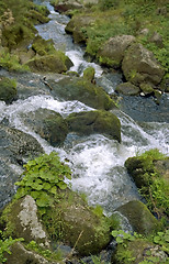 Image showing idyllic Triberg Waterfalls