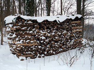 Image showing snow covered stacked wood