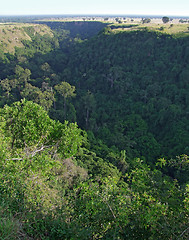 Image showing Kyambura Gorge in Africa