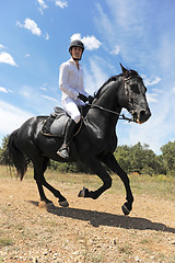 Image showing young man and horse