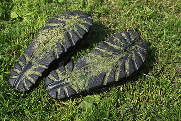 Image showing pair of slippers 
