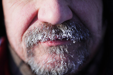 Image showing frozen gray beard and mustache