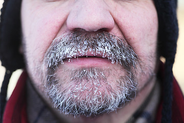 Image showing frozen gray beard and mustache