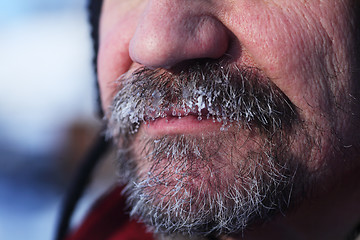 Image showing frozen gray beard and mustache