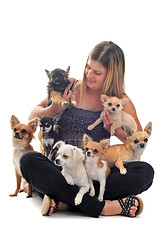 Image showing girl and chihuahuas