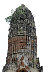 Image showing Stupa