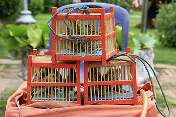 Image showing Wooden cages