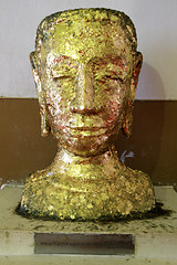 Image showing Golden head