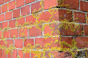 Image showing old mossy red brick wall corner backdrop 