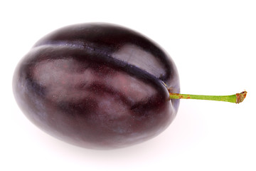 Image showing One ripe plum