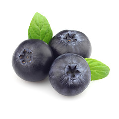 Image showing Blueberry with mint