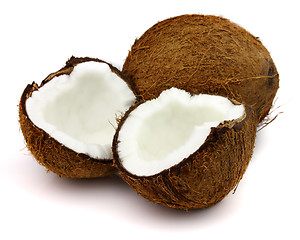 Image showing Coconut