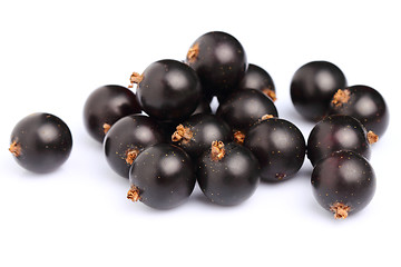 Image showing Ripe blackcurrant