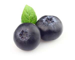 Image showing Blueberry with mint